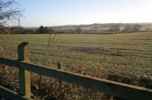 Field in Bramshall
