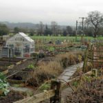 Stramshall Allotments